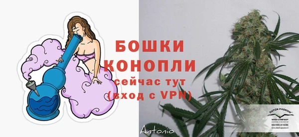 гидра Аркадак