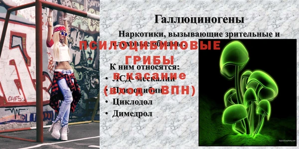 сатива Армянск