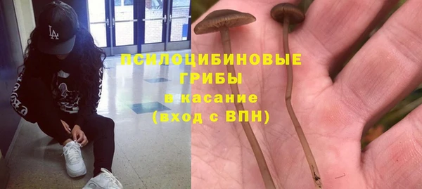 сатива Армянск