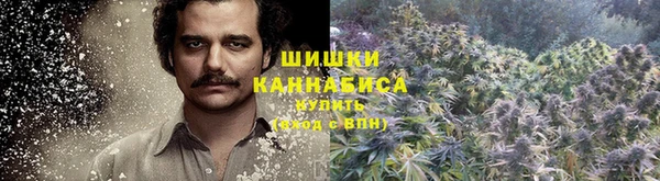 гидра Аркадак