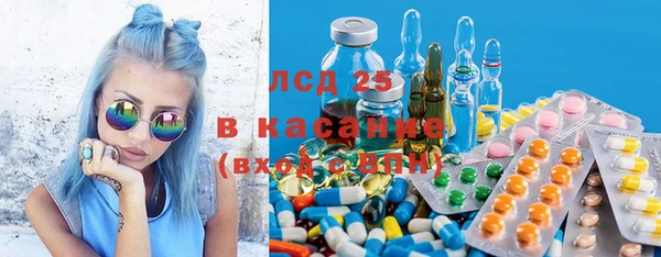 гидра Аркадак