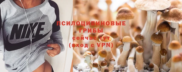 сатива Армянск