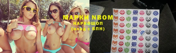 гидра Аркадак
