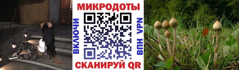 Псилоцибиновые грибы Cubensis  Пролетарск 
